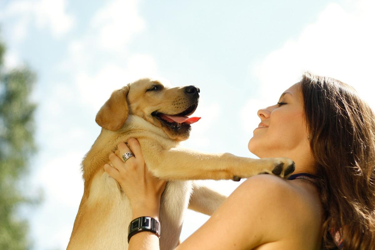 Get love pets. Девушка и собака любовь. Любовь & Pets. Подарка на девушка собака хороший. Звери дарящие любовь картинки.